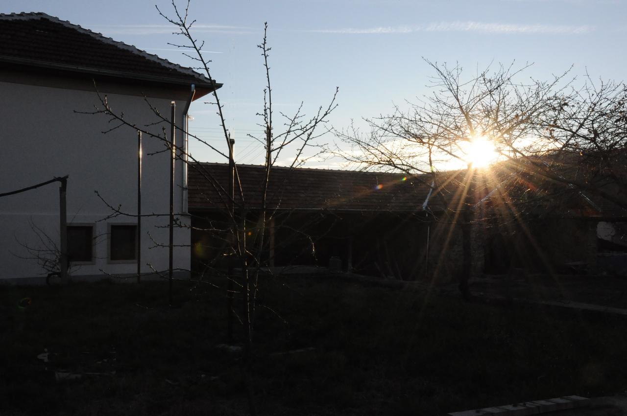 Guest House Art Eco Land Ganchovets Exterior photo